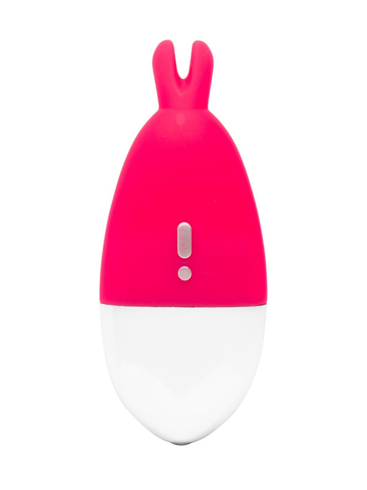 Knicker Vibrator