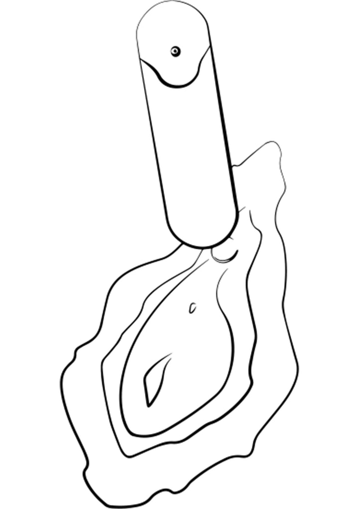 ROMP Riot mini vibrator