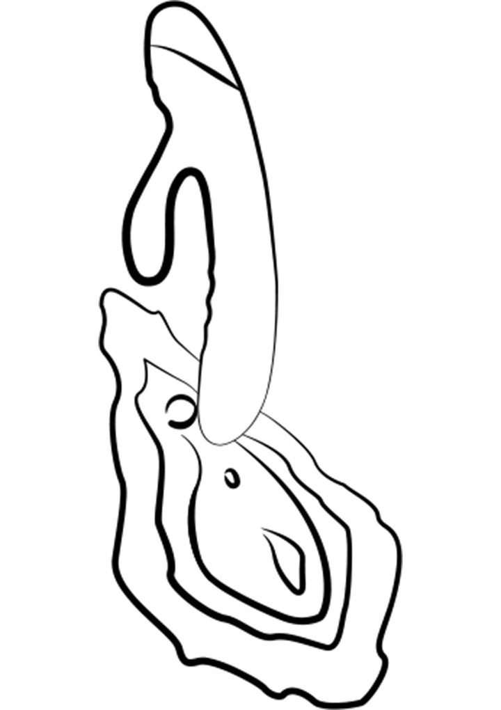 Romp Jazz | Rabbit vibrator - Romp | SIN&LACE