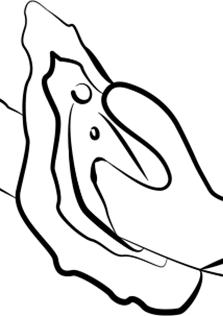 Romp Jazz | Rabbit vibrator - Romp | SIN&LACE