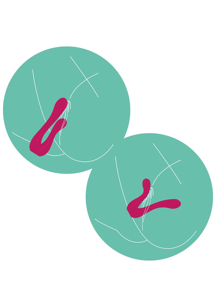 Xocoon Sync Sensation Vibrator | Rabbit vibrator - Xocoon | SIN&LACE