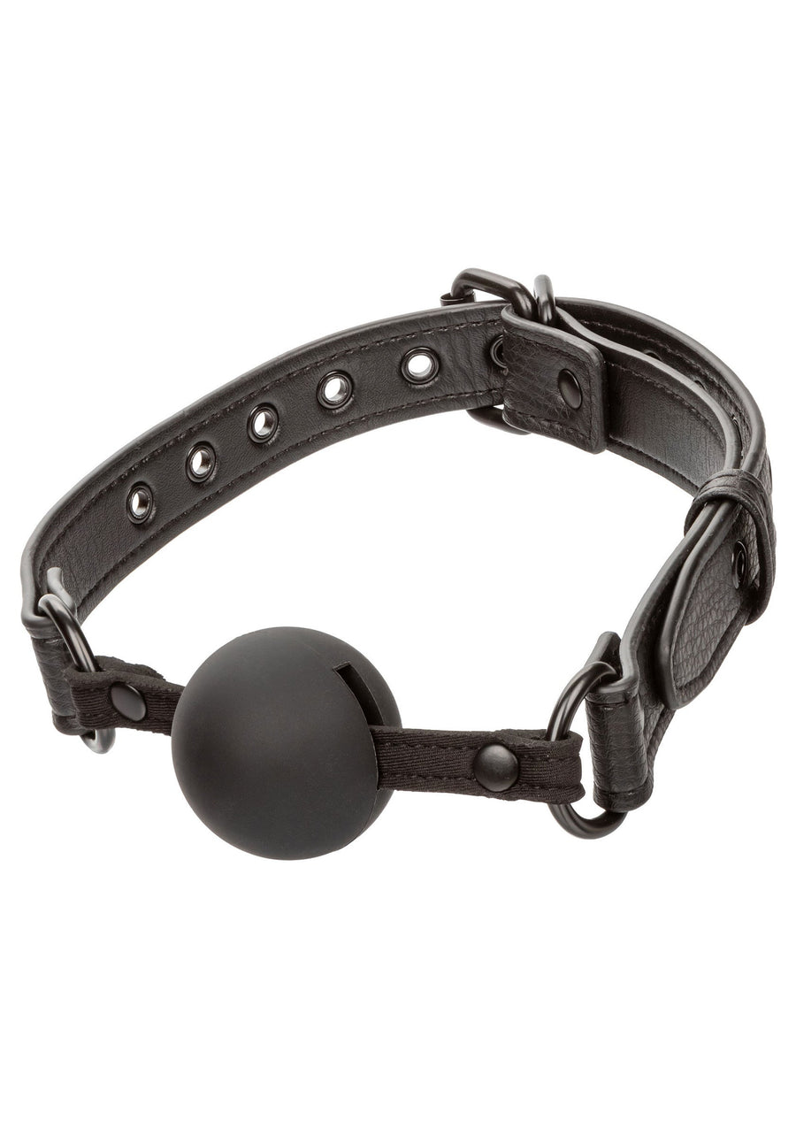 CalExotics Nocturnal Ball Gag, 1