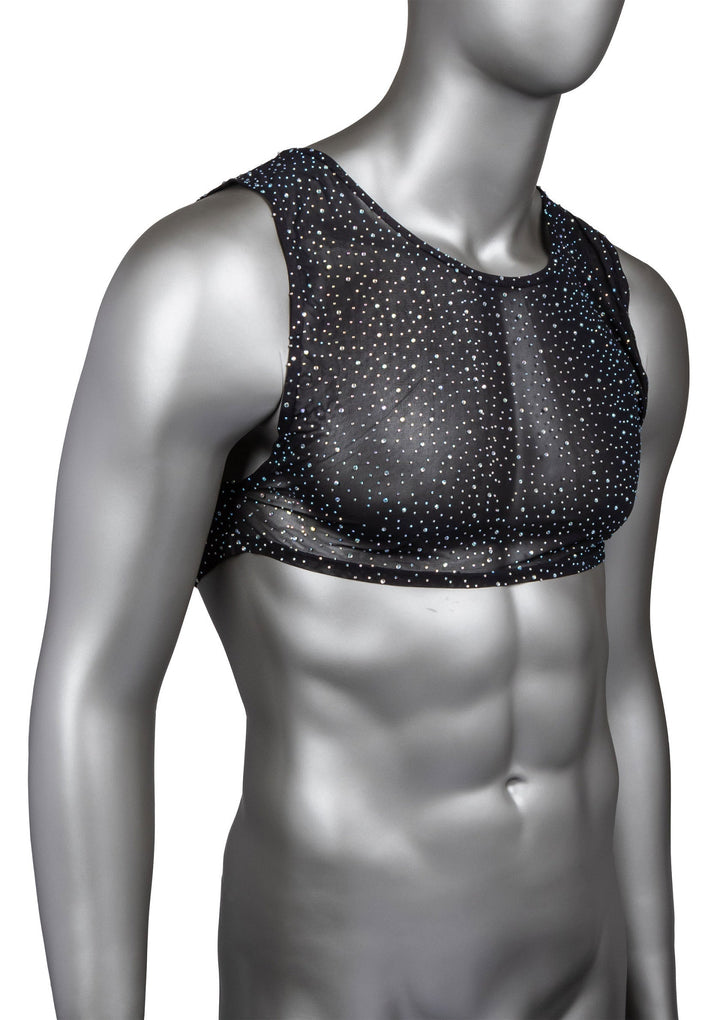 CalExotics Radiance Crop Top