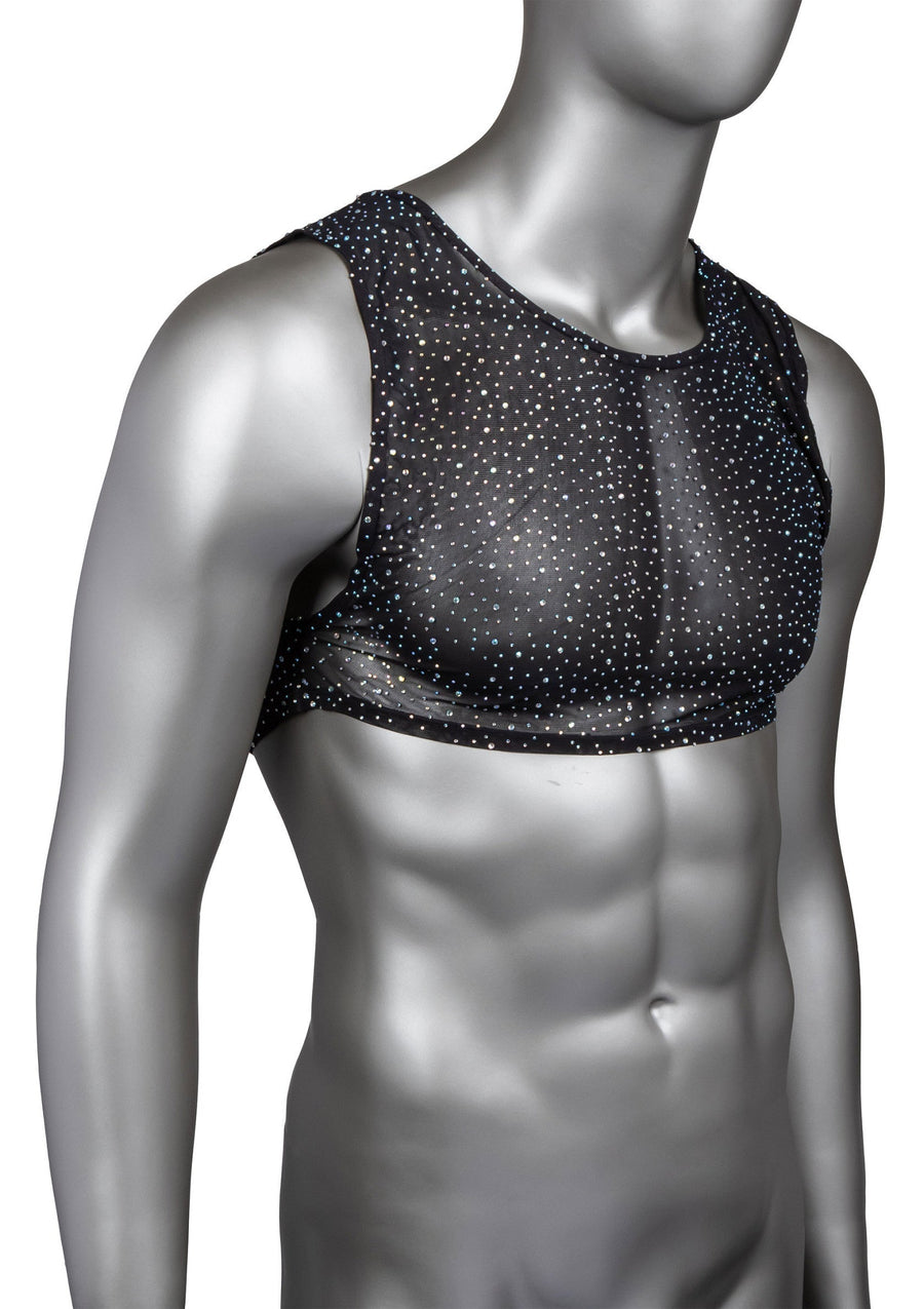 CalExotics Radiance Crop Top, 1