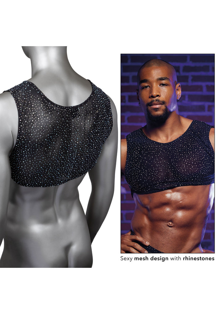 CalExotics Radiance Crop Top