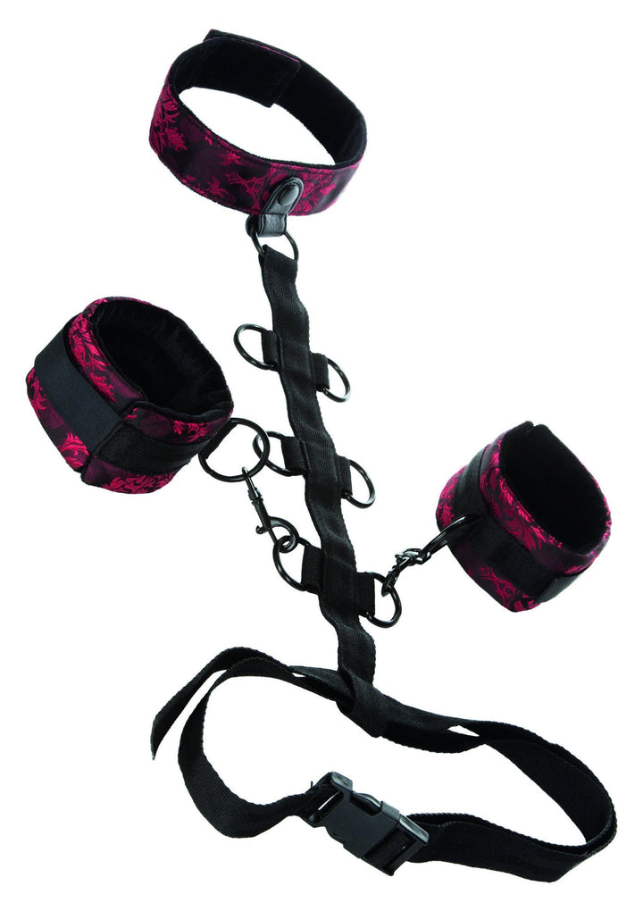 CalExotics Scandal Collar Body Restraint harnas
