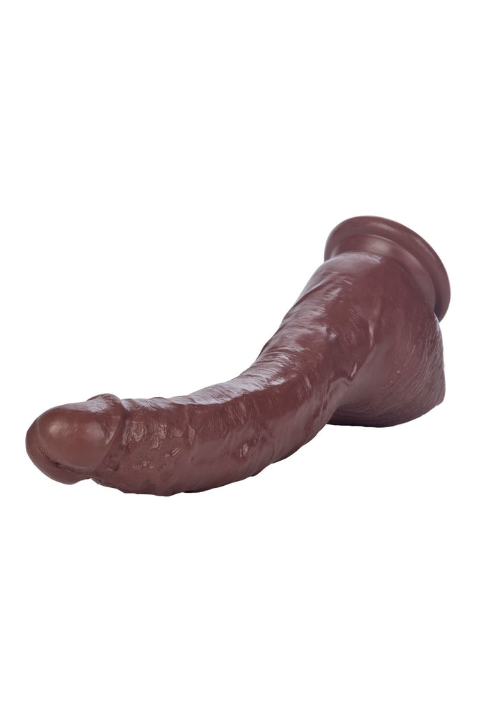 COLT Adam Dexter Cock - Bruin - afbeelding 6