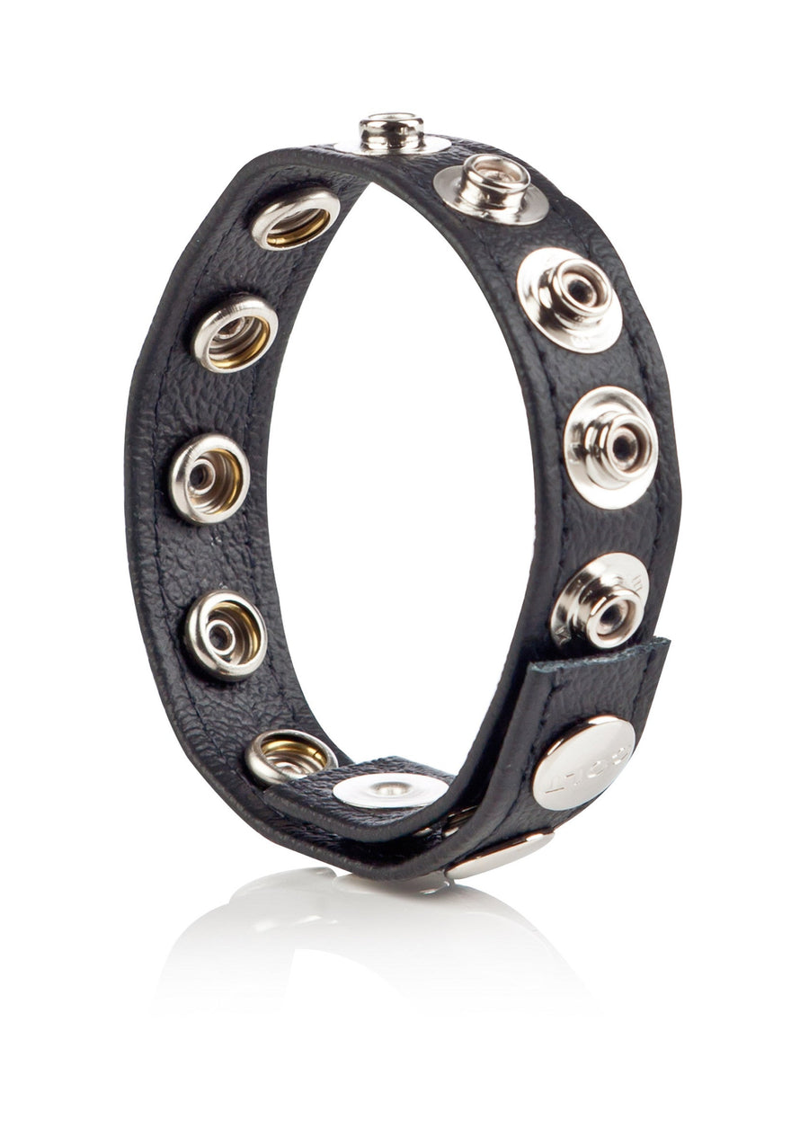 CalExotics COLT Leather C/B Strap 8-snap cockring, 1