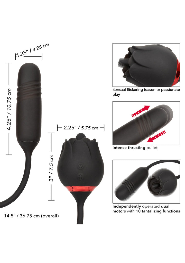 CalExotics French Kiss Elite Romeo vibrator