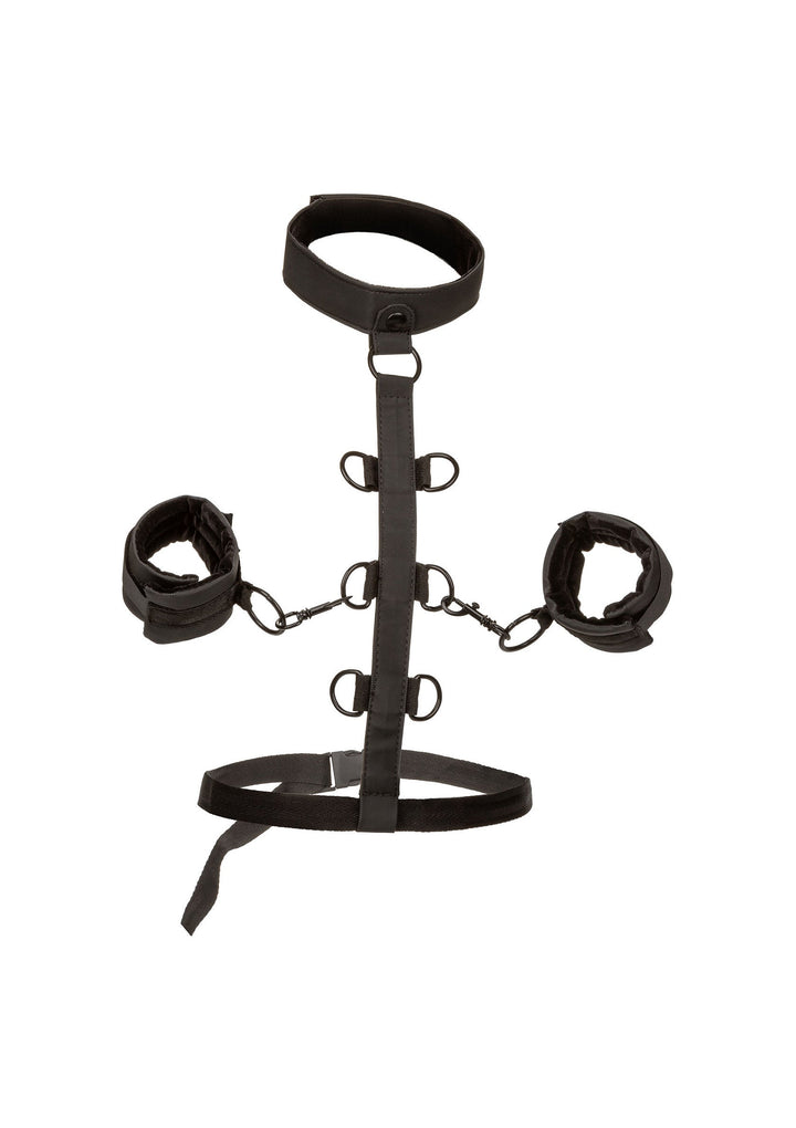 CalExotics Boundless Collar Restraint