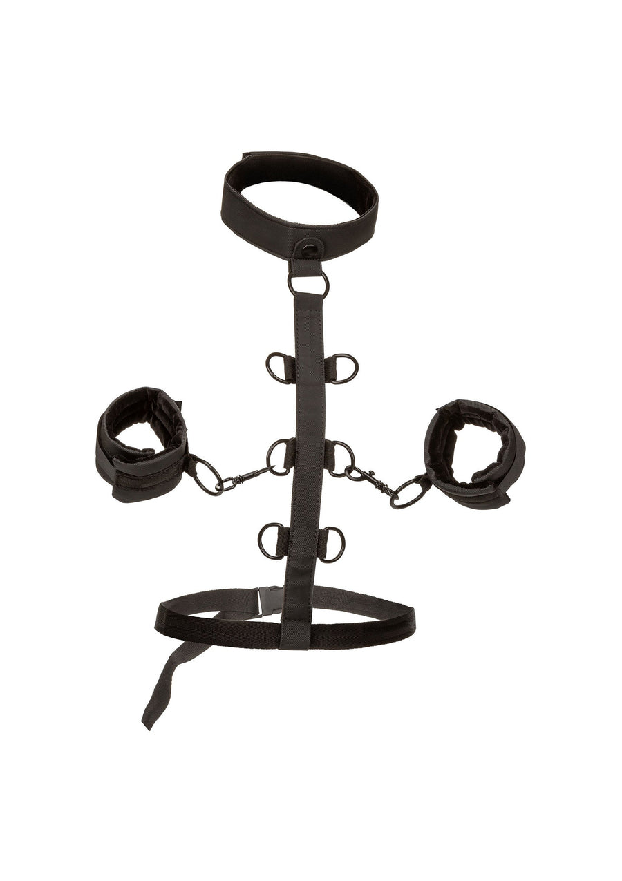 CalExotics Boundless Collar Restraint, 1