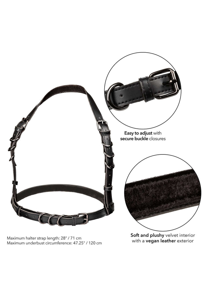 CalExotics Halter Buckle Harness Plus Size
