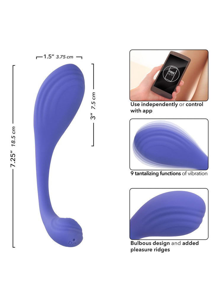 Calex Connect Kegel Exerciser