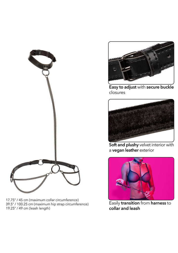 CalExotics Euphoria Collection Chain Halter & Collar