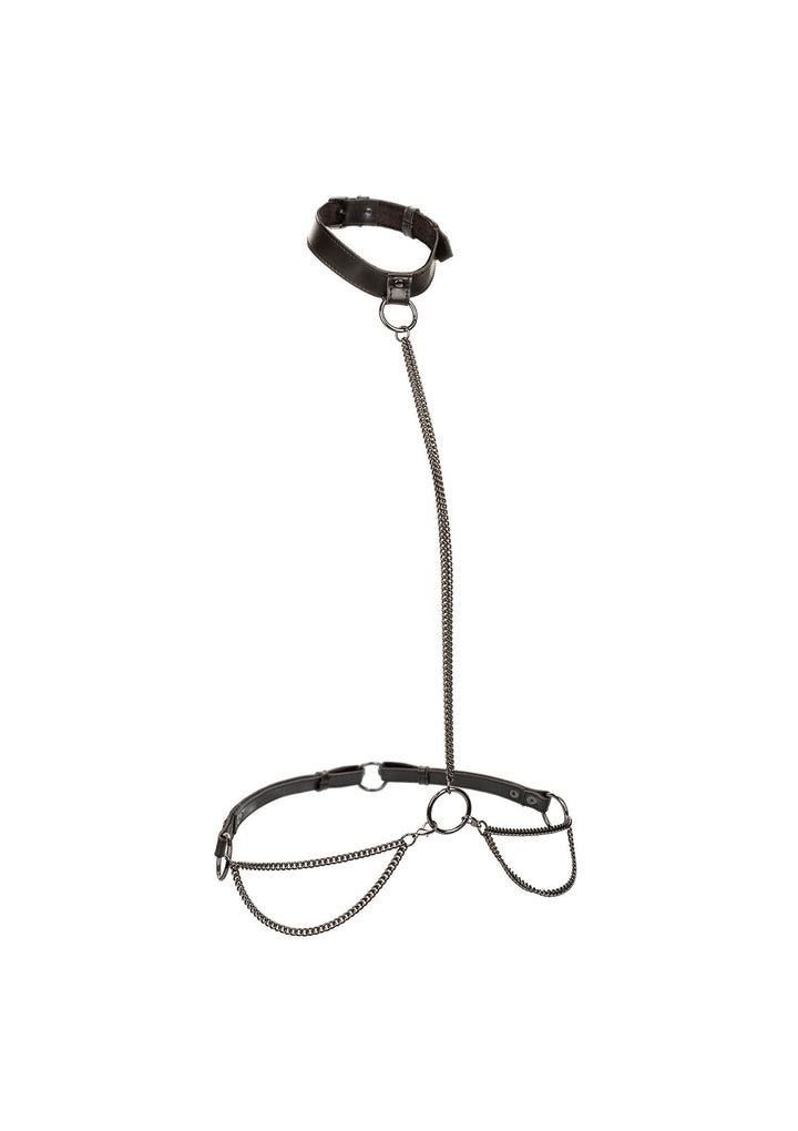 CalExotics Euphoria Collection Plus Size Chain Halter, Collar & Leash