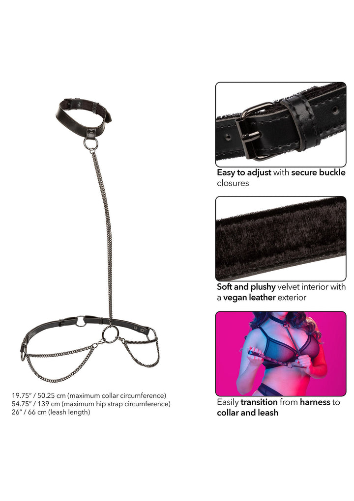 CalExotics Euphoria Collection Plus Size Chain Halter, Collar & Leash