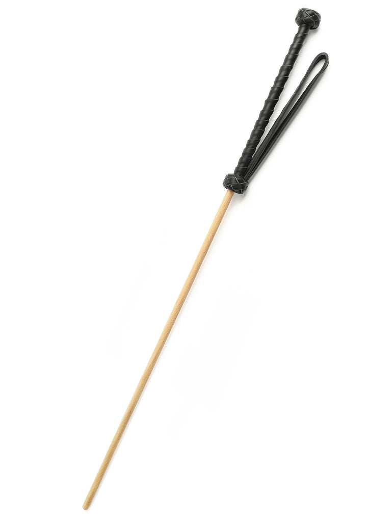 Hidden Desire Obedience Cane