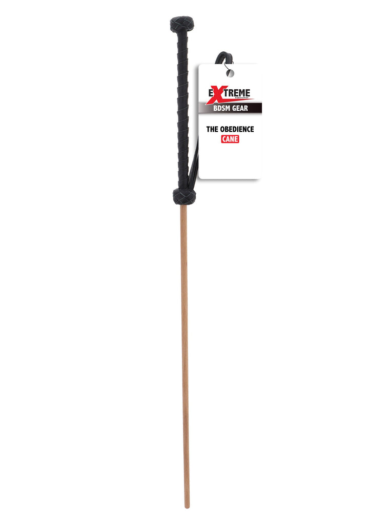 Hidden Desire Obedience Cane