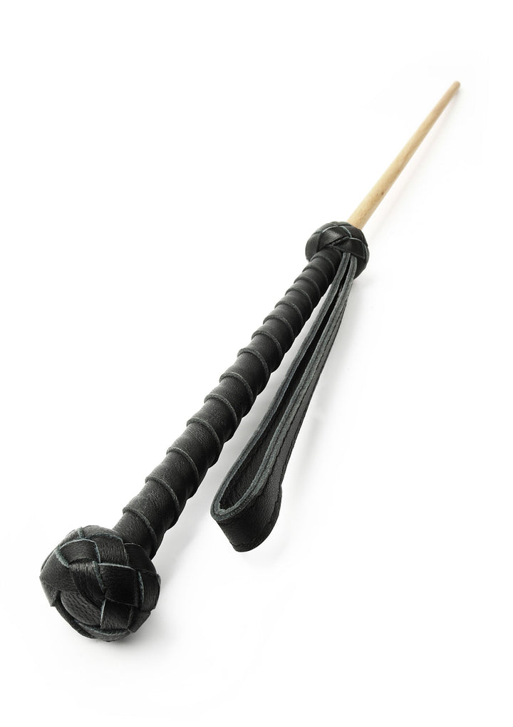 Hidden Desire Obedience Cane