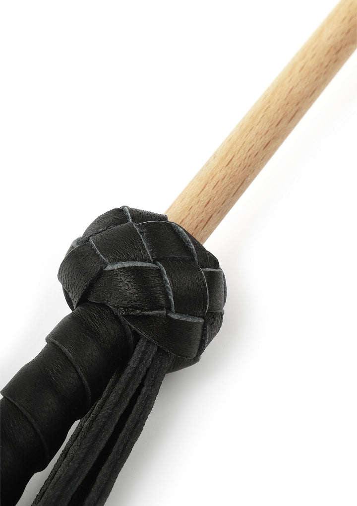 Hidden Desire Obedience Cane
