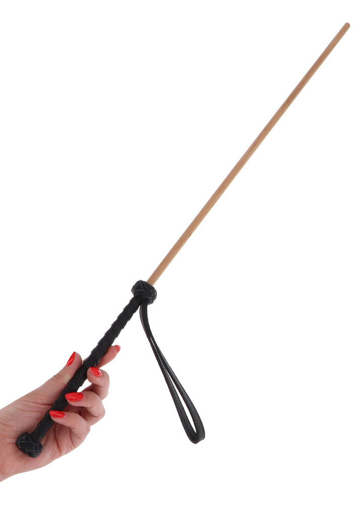 Hidden Desire Obedience Cane