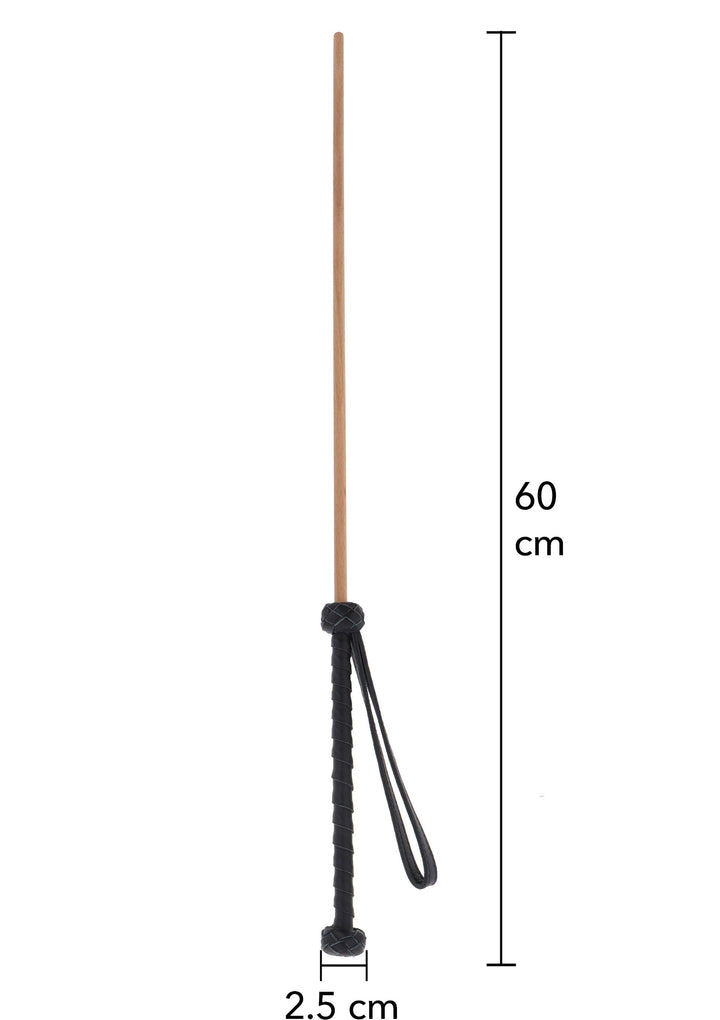 Hidden Desire Obedience Cane