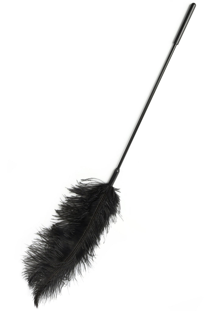 Hidden Desire dubbele veren-tickler