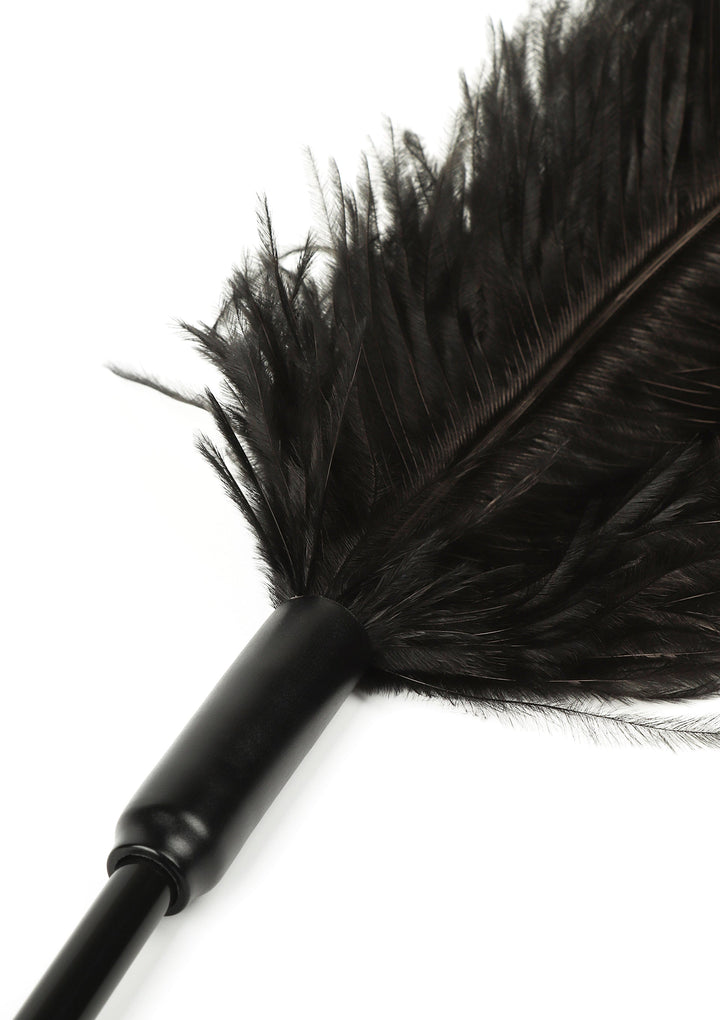 Hidden Desire dubbele veren-tickler