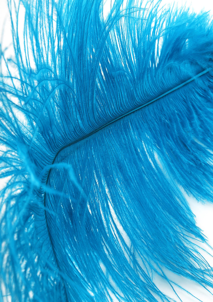 Hidden Desire dubbele veren-tickler
