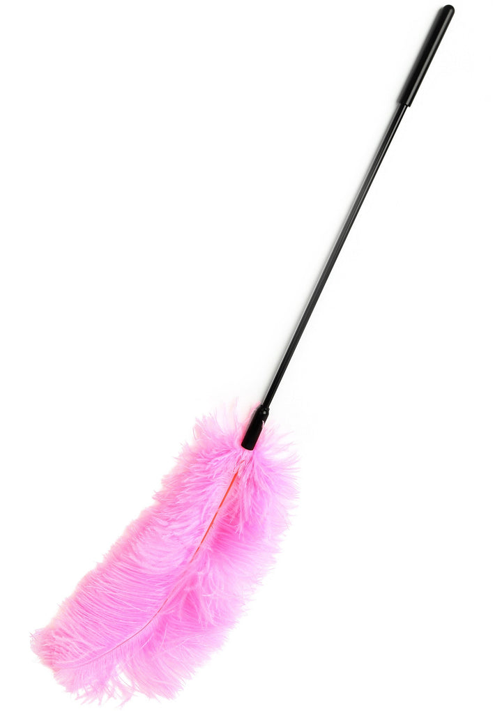 Hidden Desire dubbele veren-tickler