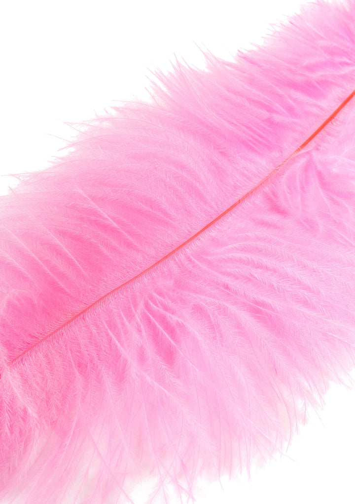 Hidden Desire dubbele veren-tickler