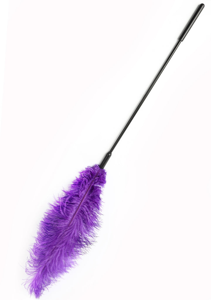 Hidden Desire dubbele veren-tickler