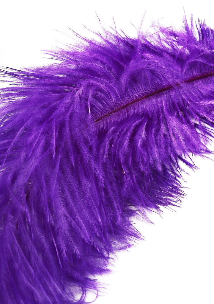 Hidden Desire dubbele veren-tickler