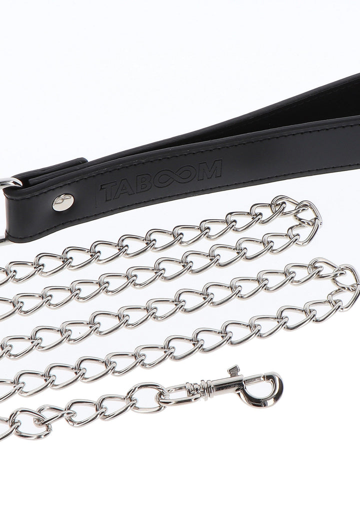 Elegant Collar and Chain Leash