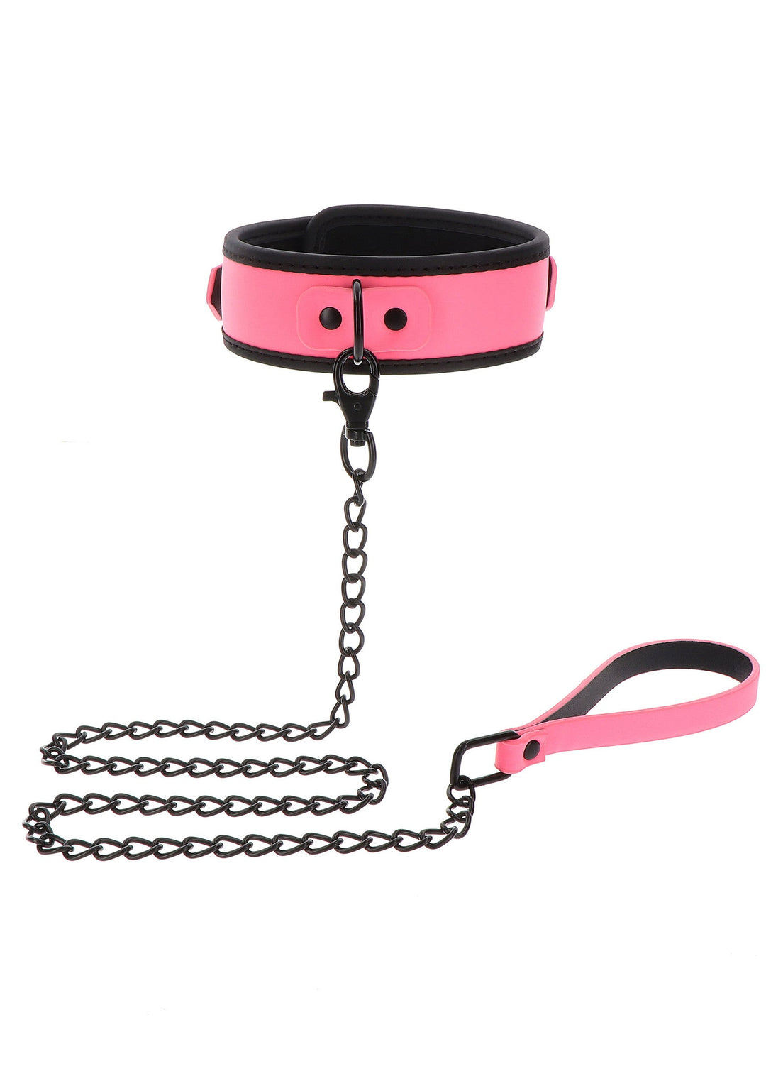 Collar and Chain Leash