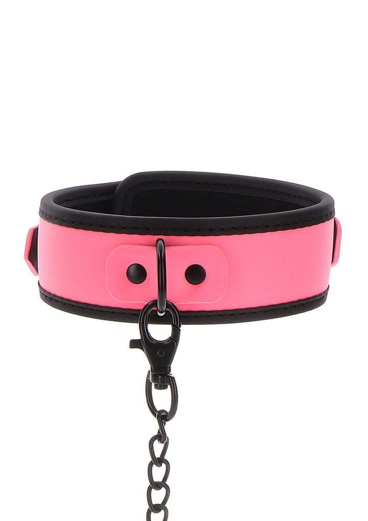 Collar and Chain Leash