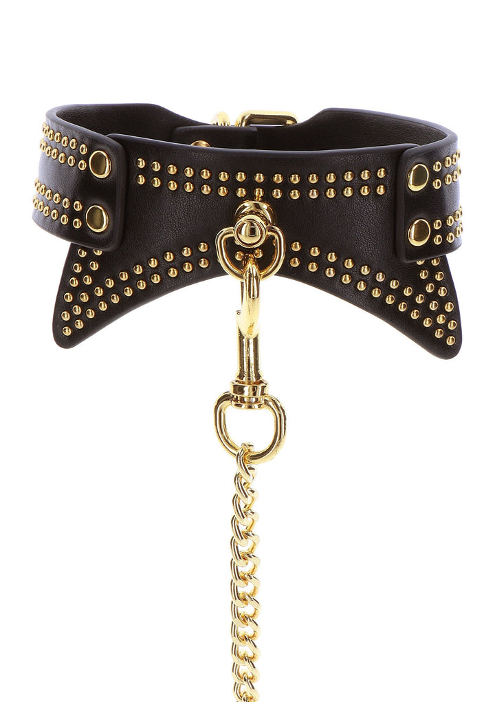 Studded Collar and Leash