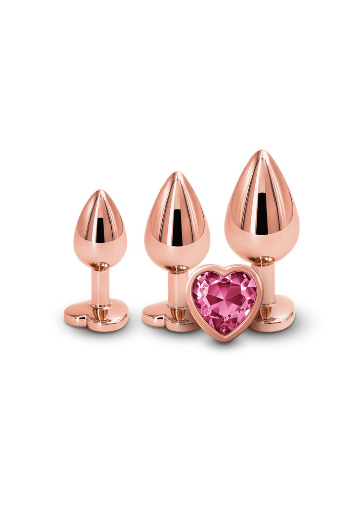 NS Novelties Rear Assets Trainer Kit Heart dilatieset