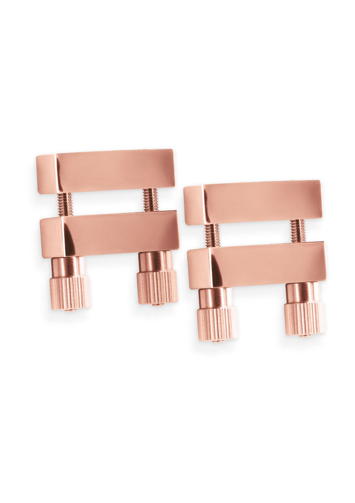NS Novelties Bound Nipple Clamps V1