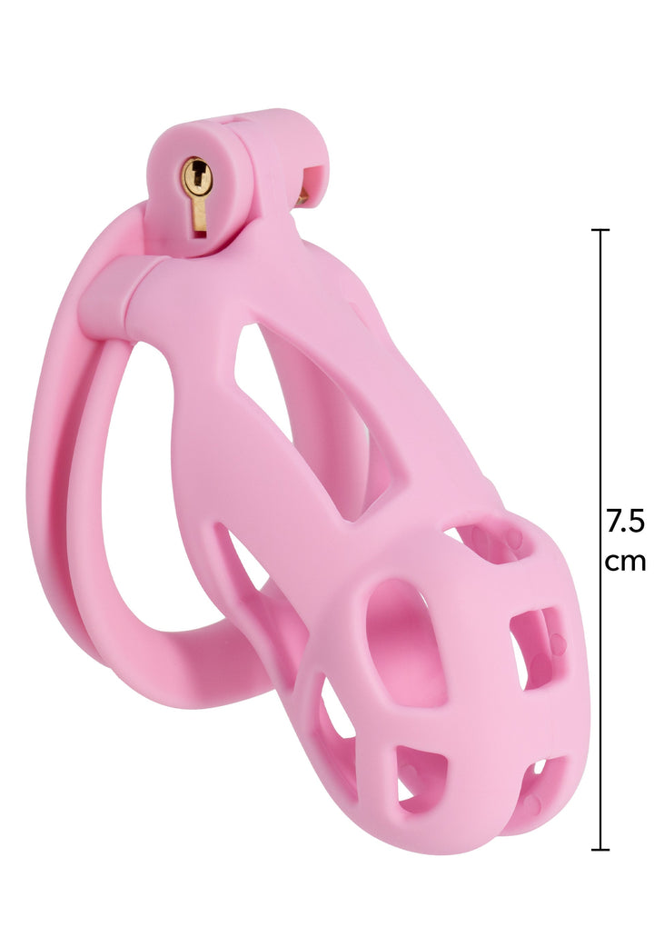 Penis Prison Cock Cage Regular