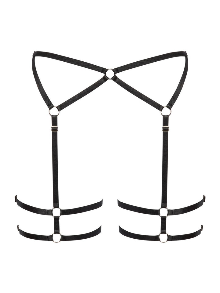 Suspender Belt