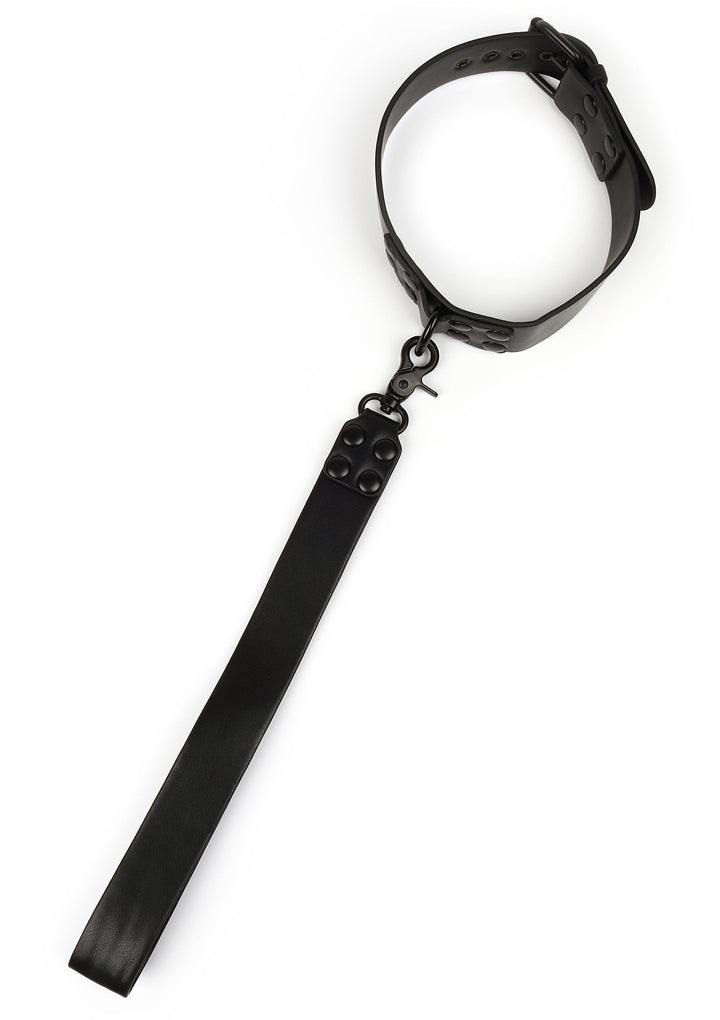 Avanza Signature Collar & Short Leash halsband met lijn