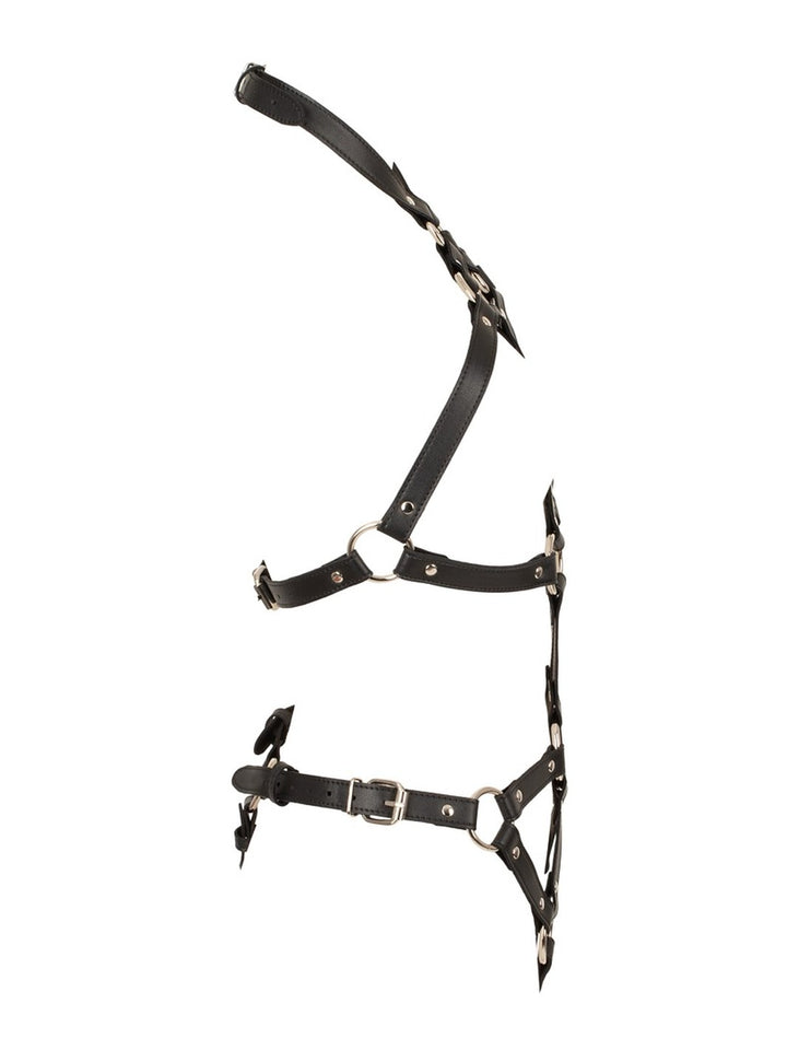 Bad Kitty Metall Harness S-L