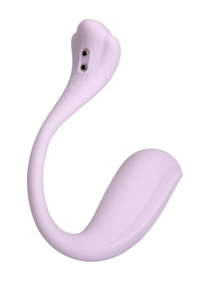 Phoenix Neo 2