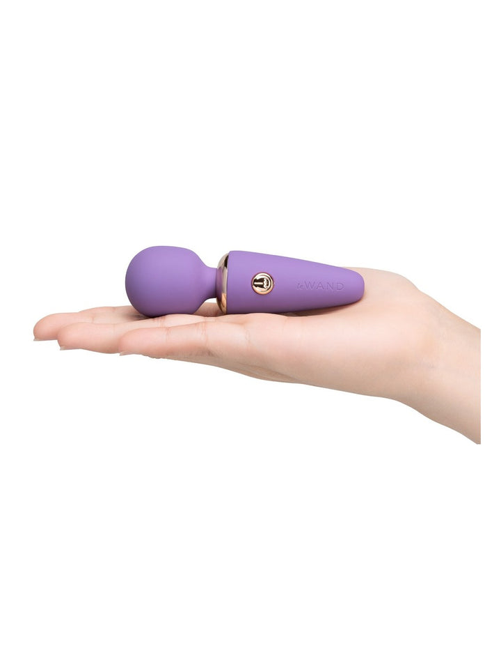 Le Wand Mini Micro Wand