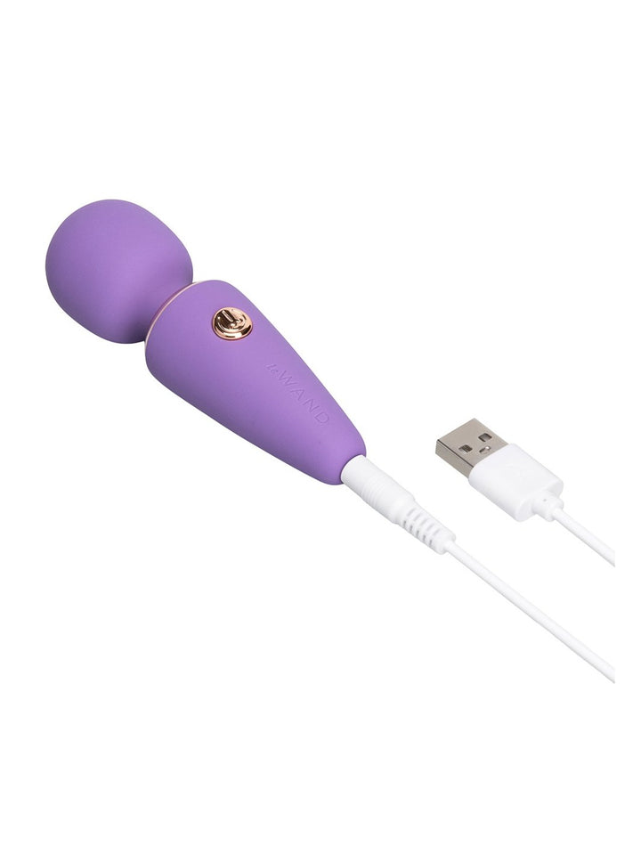 Le Wand Mini Micro Wand