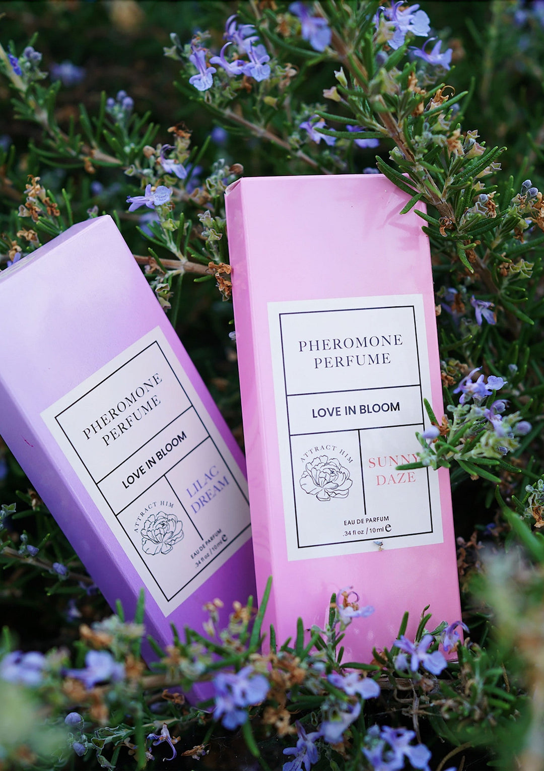 Eye of Love Phero Parfum Attract Him 10 ml | Feromoonparfum - Eye of Love | SIN&LACE