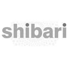 Shibari Bondage